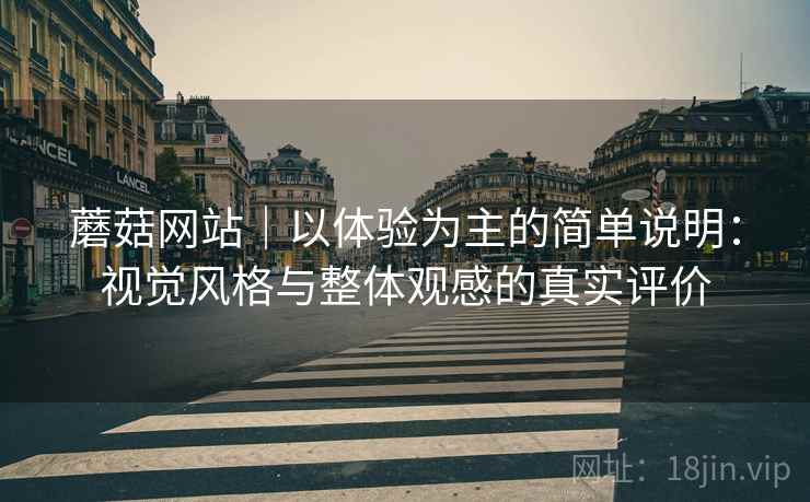 蘑菇网站｜以体验为主的简单说明：视觉风格与整体观感的真实评价